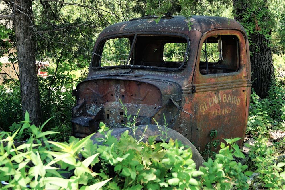 abandoned brown vehicle surrounded with tall and green trees