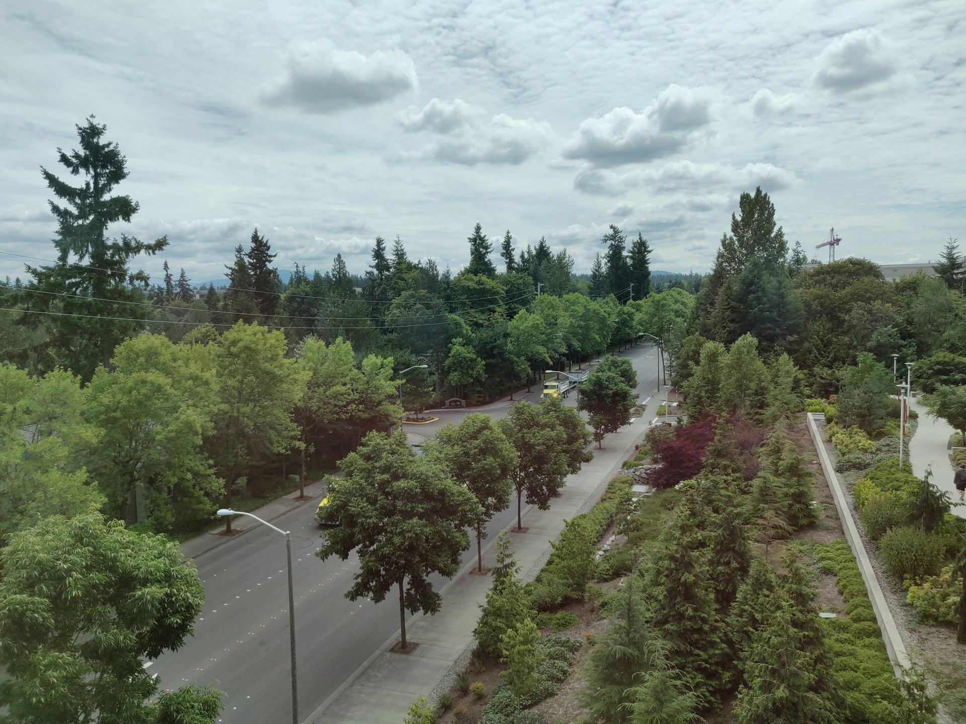 woman wearing yellow long-sleeved dress under white clouds and blue sky during daytime