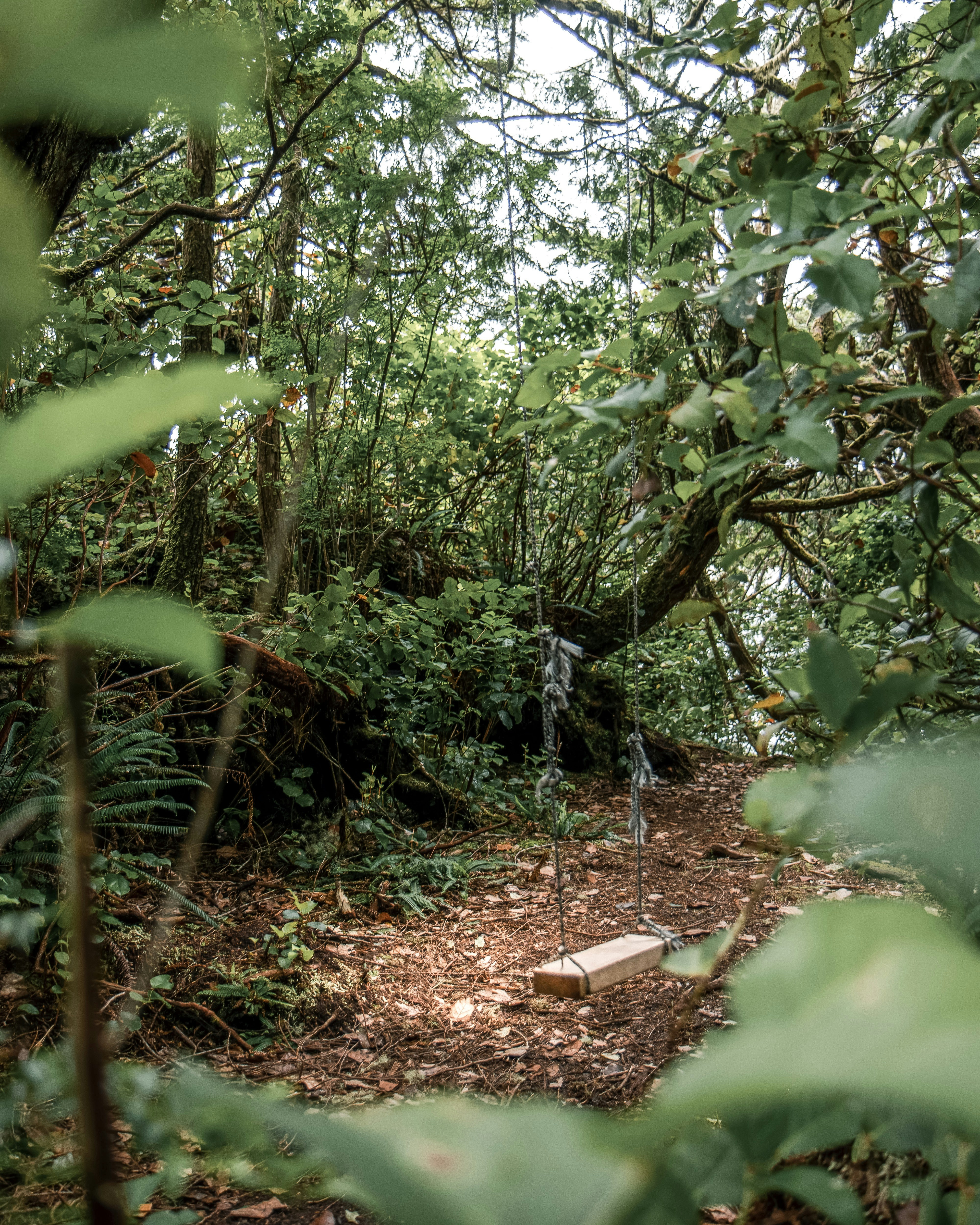 Photo by alinevivienne