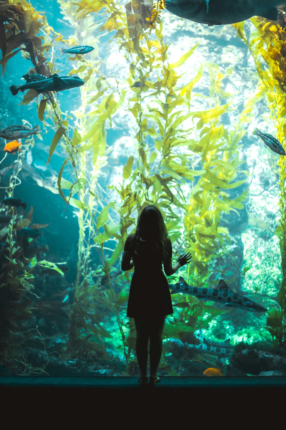 Frau steht neben Aquarium