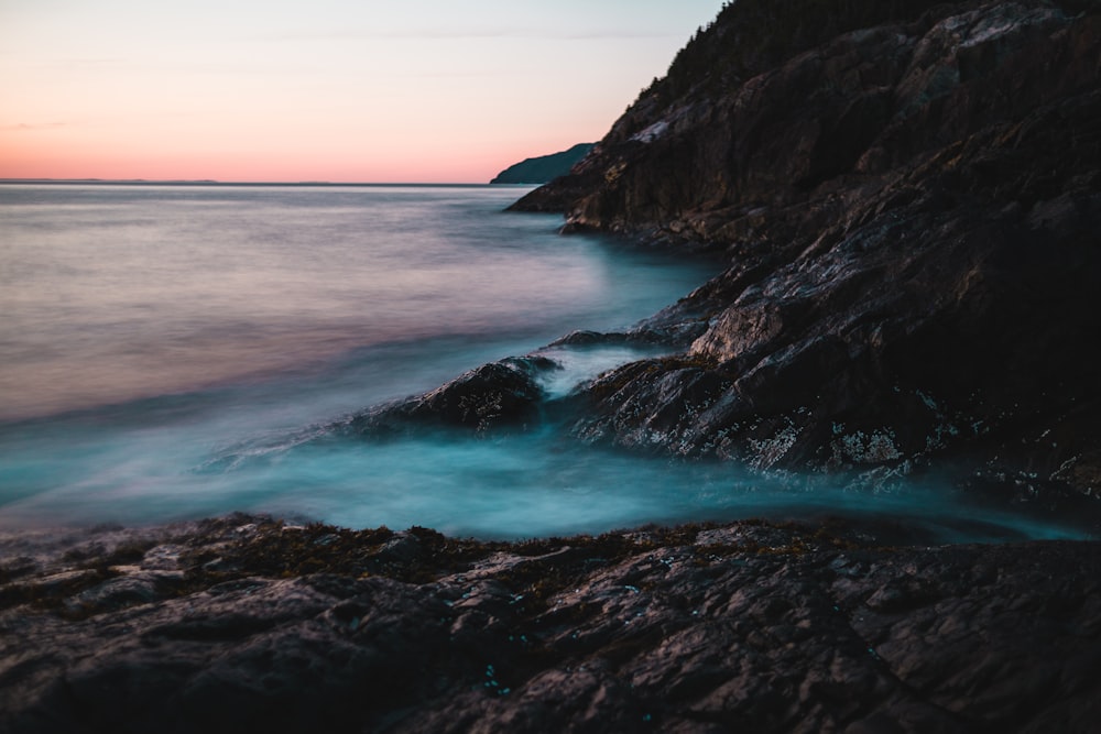 seashore during daytime