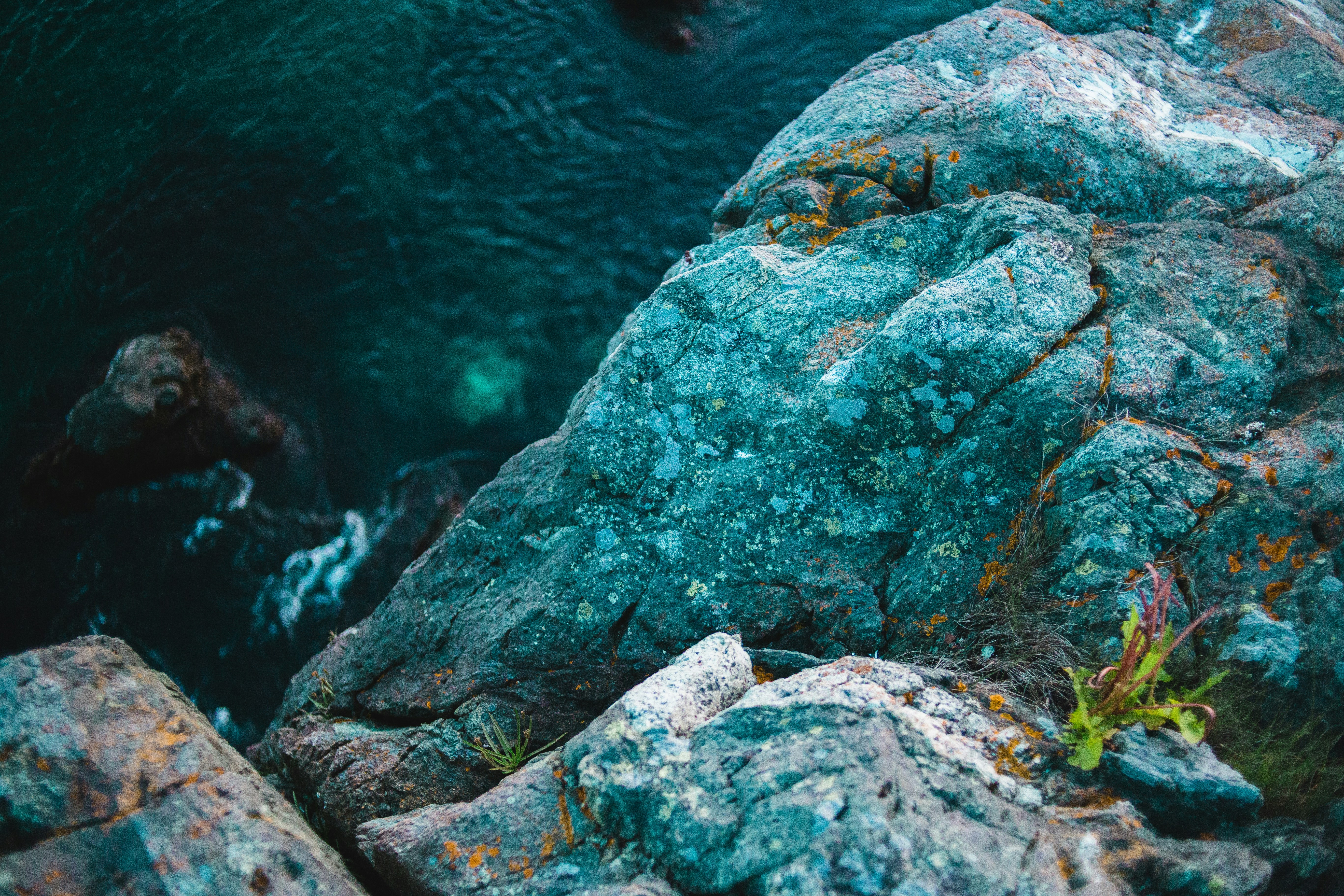 Photo by introspectivedsgn