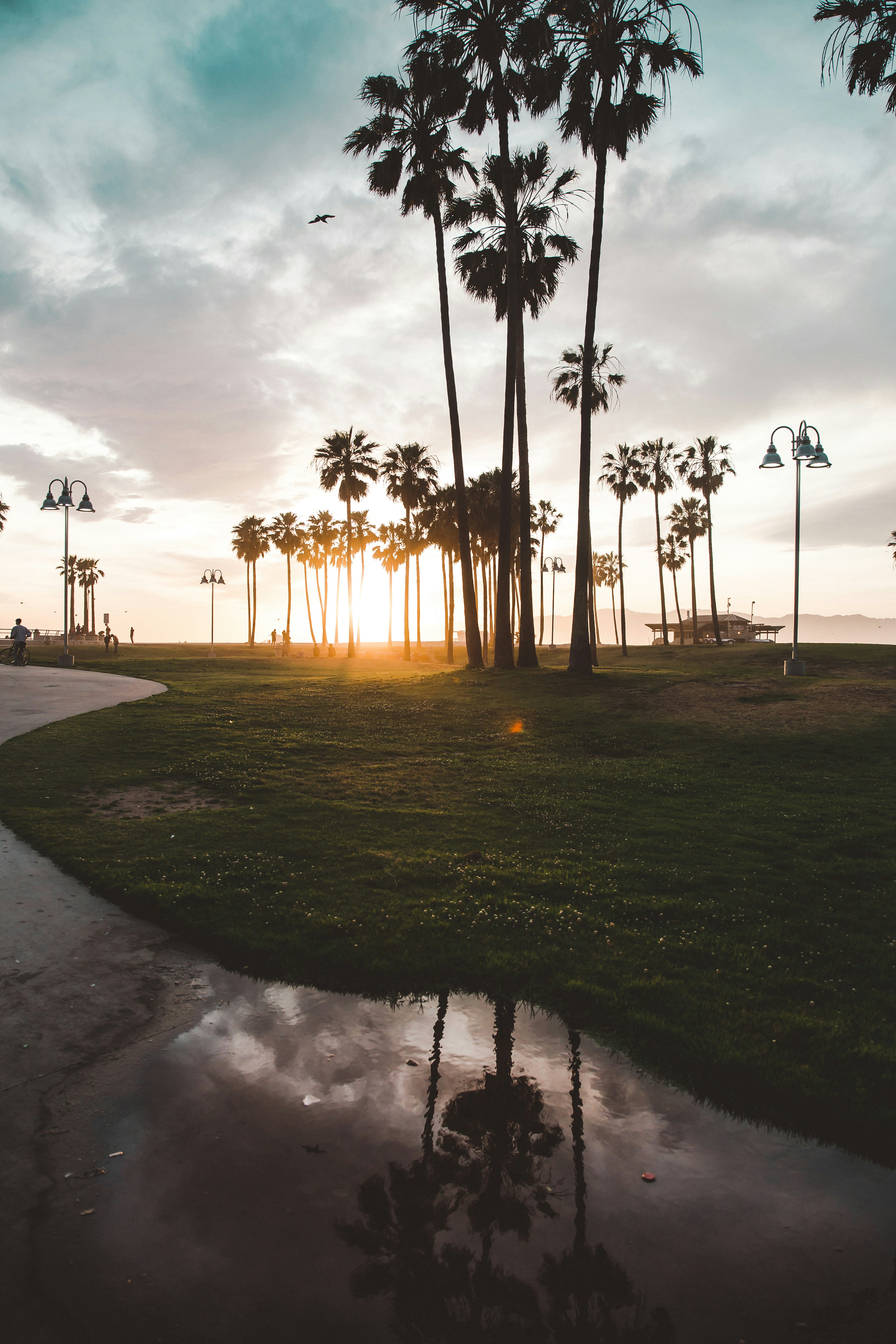 Photo by trenthaaland