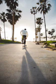 Sunset over a palm-lined street with a skateboarder wearing Solfury gear.