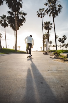 A longboard cruising down a tree-lined path bathed in golden afternoon light.