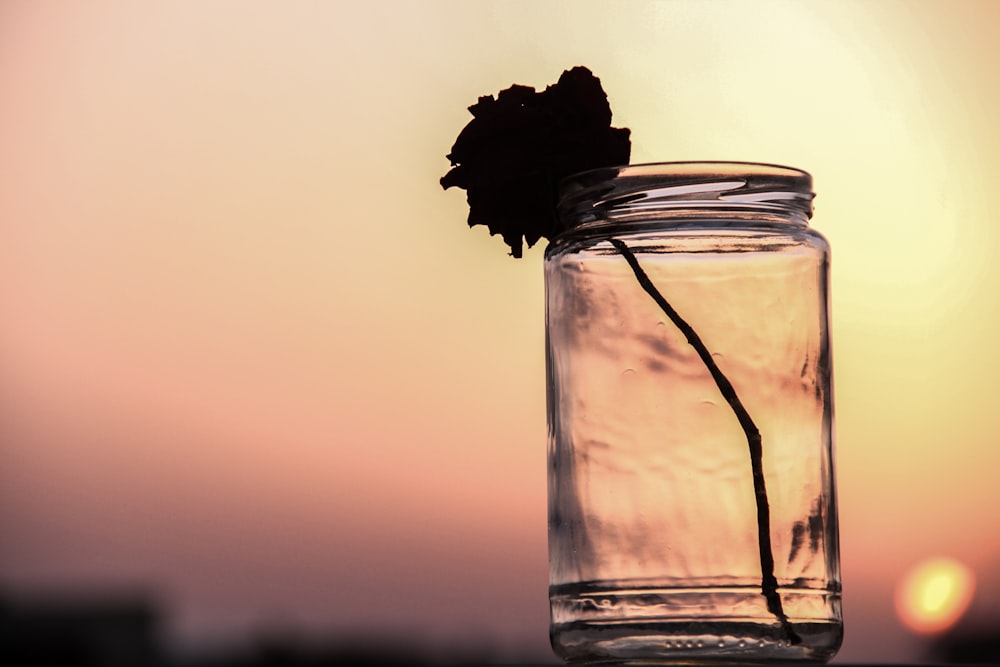 clear glass jar