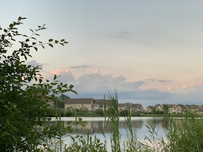 A peaceful residential area is seen across a calm body of water, with houses reflecting on the surface. The foreground features lush greenery, including tall grass and leafy shrubs. The sky above is a soft gradient of pastel colors as the sun sets, with some clouds tinted with pink hues.