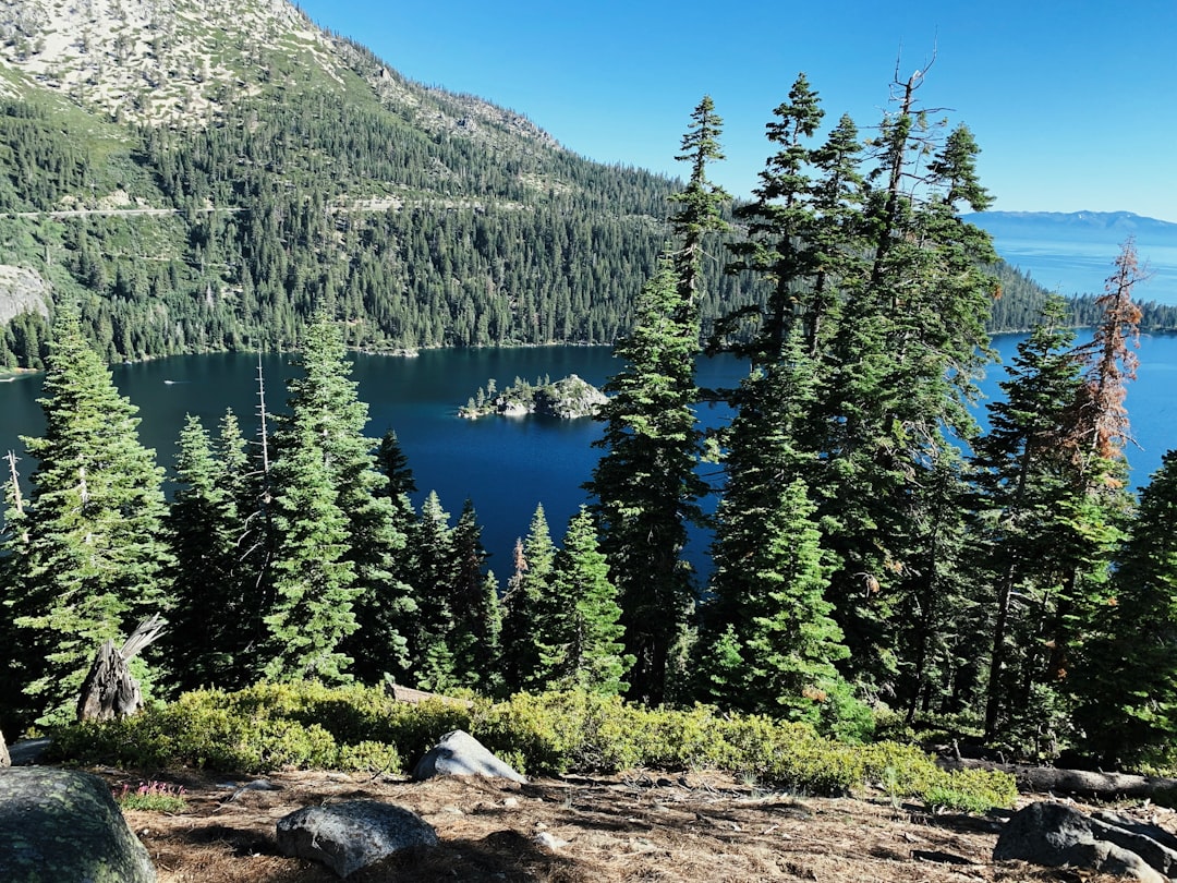 Tropical and subtropical coniferous forests photo spot Emerald Bay, Fannette Island Lake Tahoe