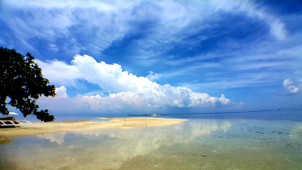 seashore across horizon during daytime