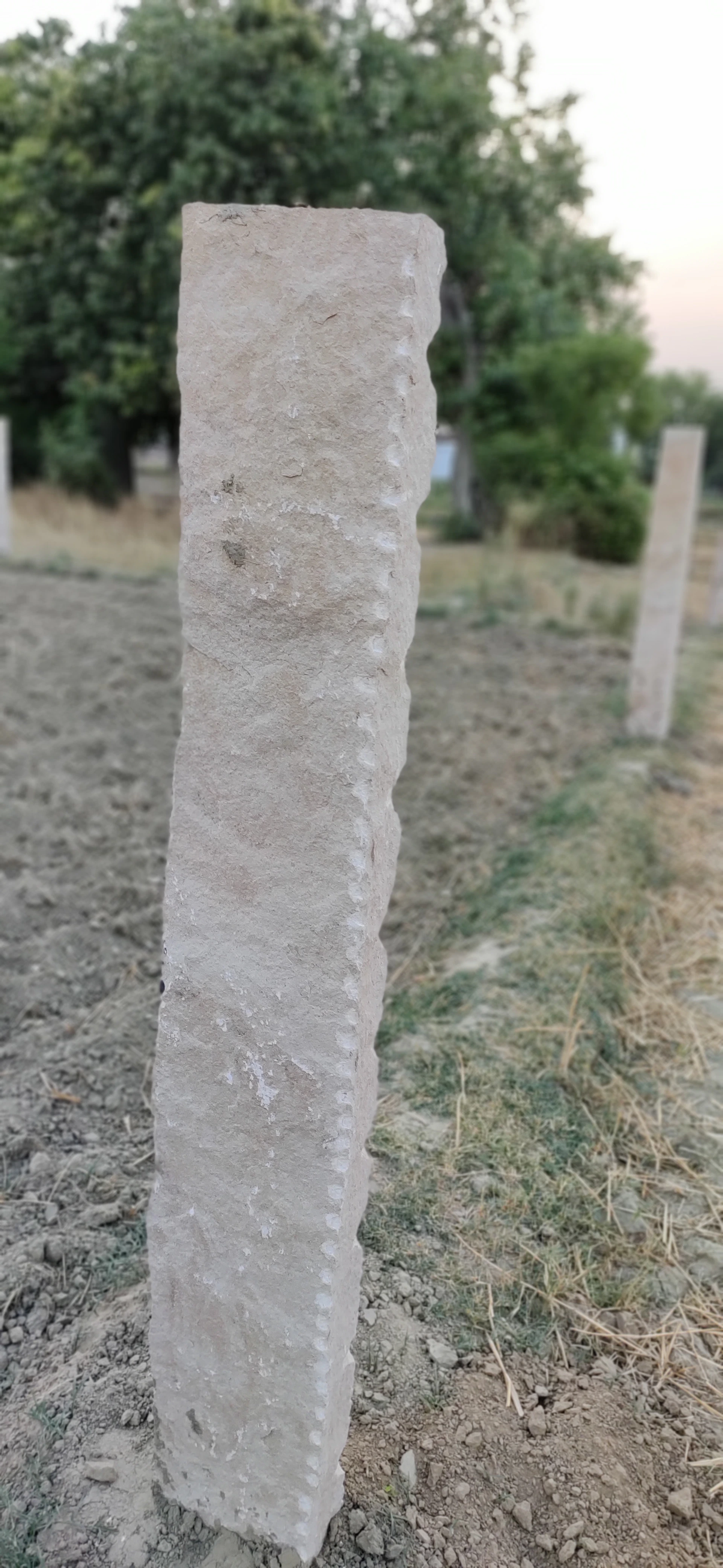A close-up shot of a modern boundary marker on a pristine plot, with soft sunlight casting gentle shadows on the rich soil.