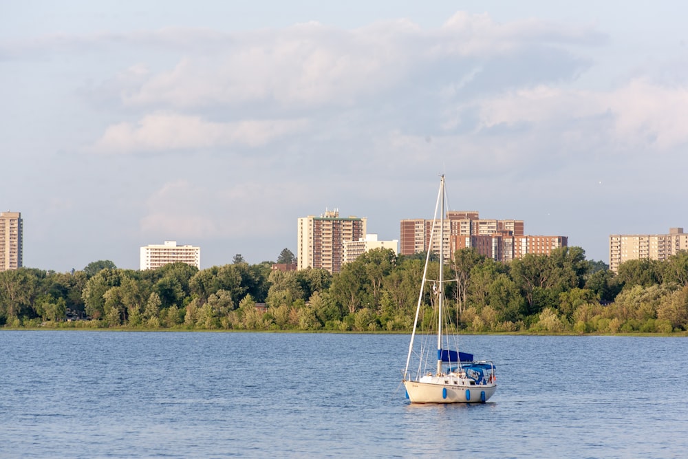 white boat on the body of water near green-leafed tree