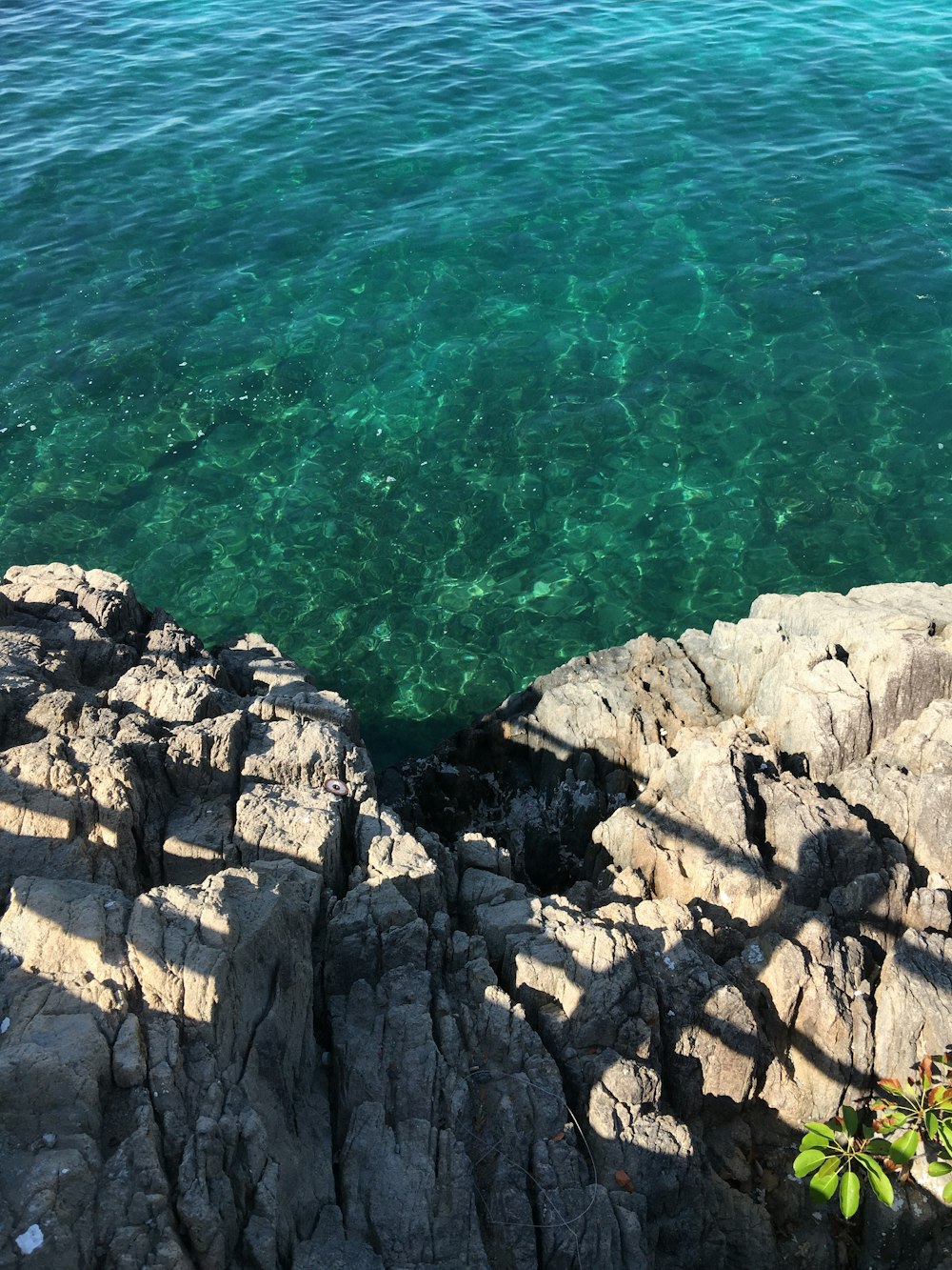 Ein Blick auf ein Gewässer von einer Klippe