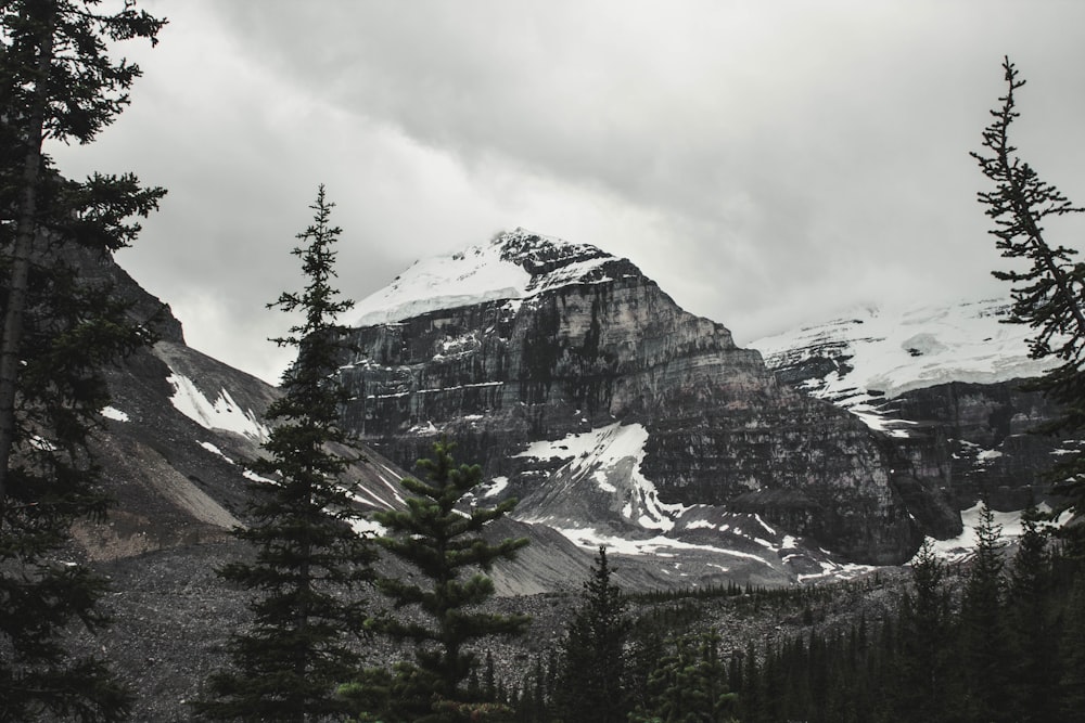 landscape photo of snow covered mountain