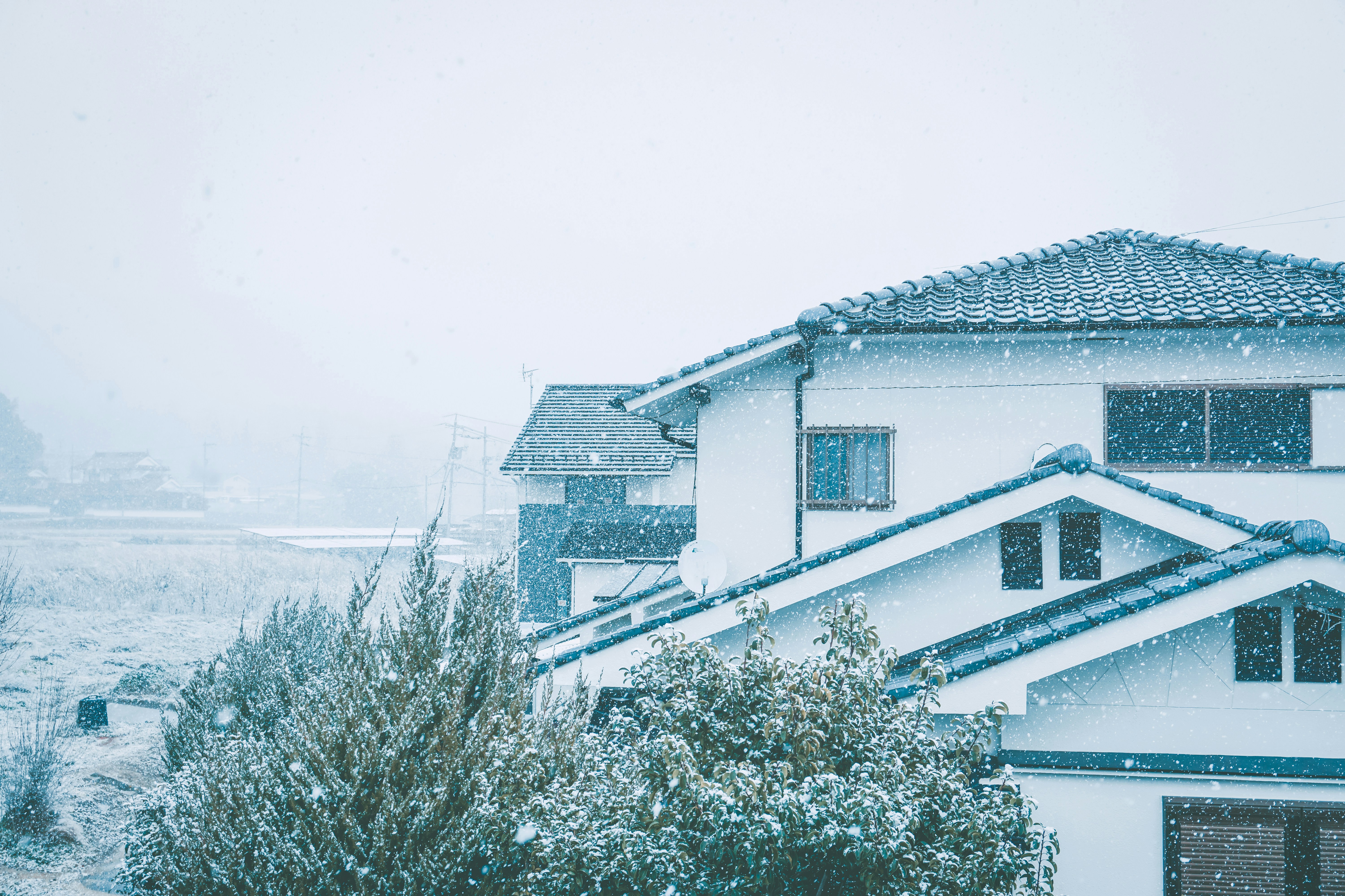 Photo by cosmonaut647