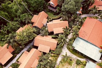 Aerial view of multiple houses with orange tiled roofs surrounded by lush green palm trees and dense vegetation. Paths and walkways are visible winding between the buildings.