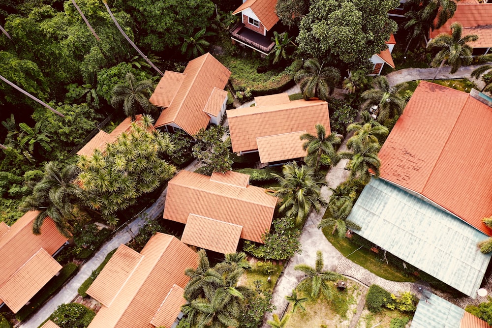 brown houses near trees