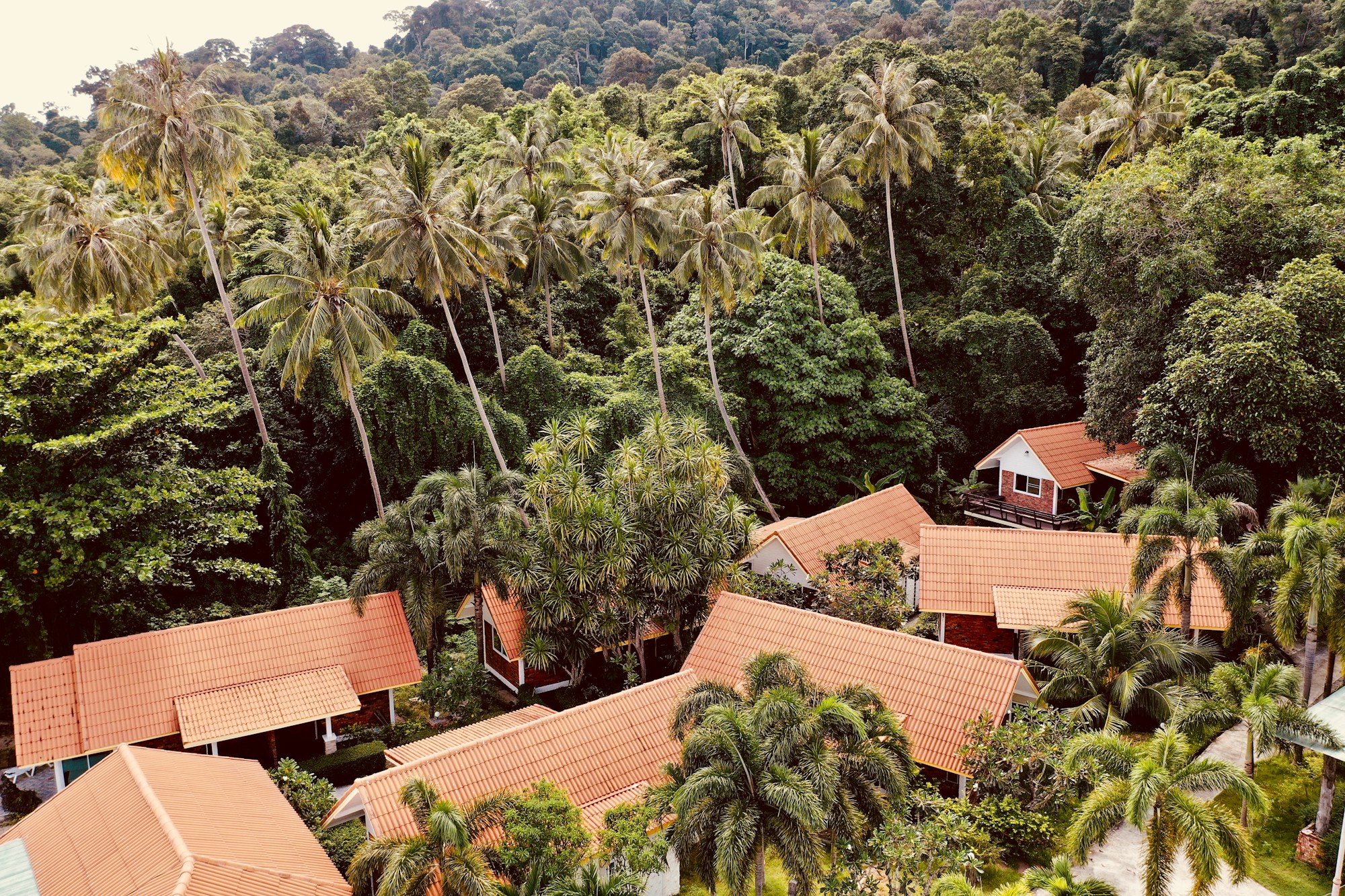 Koh Adang Weather Guide: Best Time to Visit