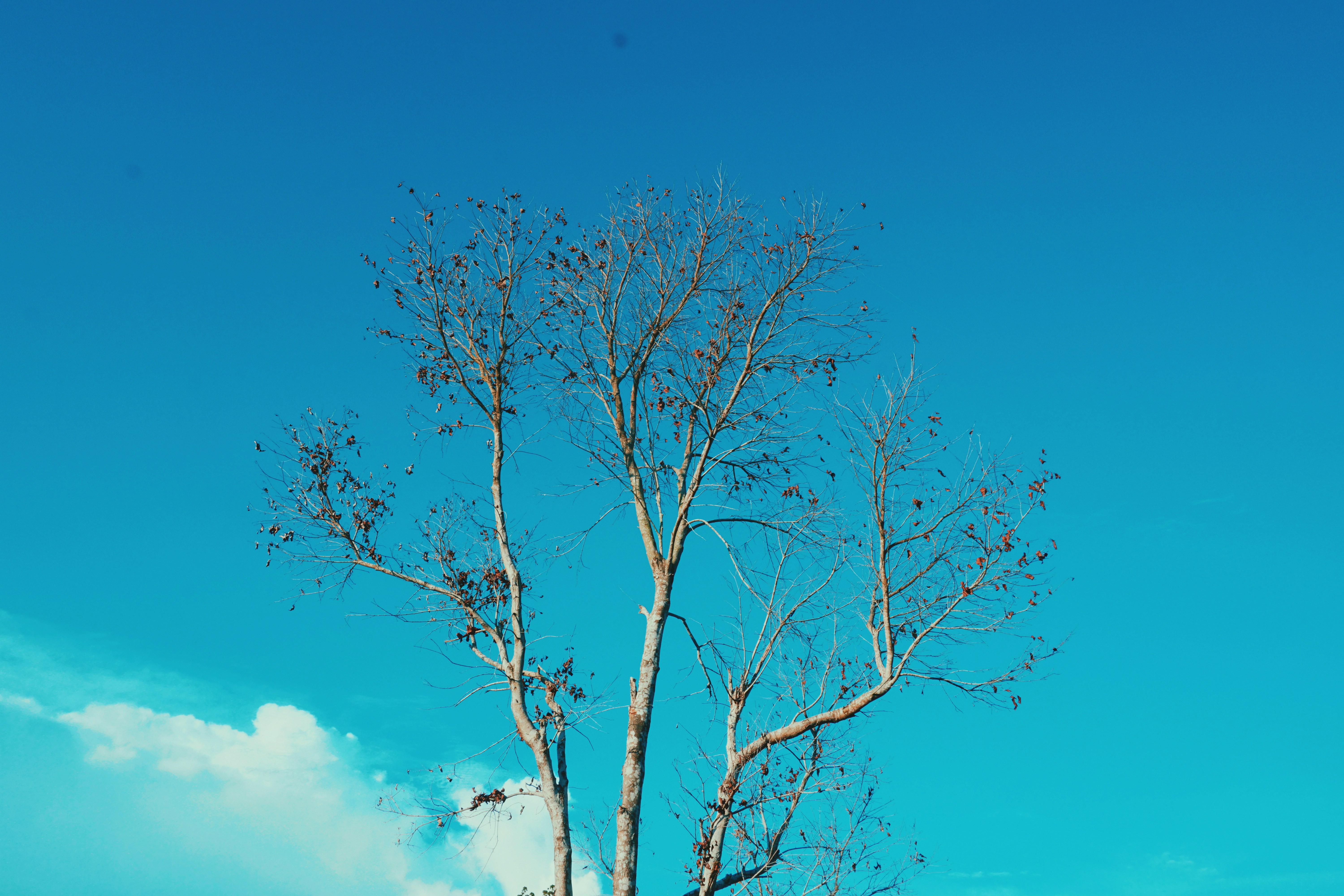 Photo by abymanyuhidayat