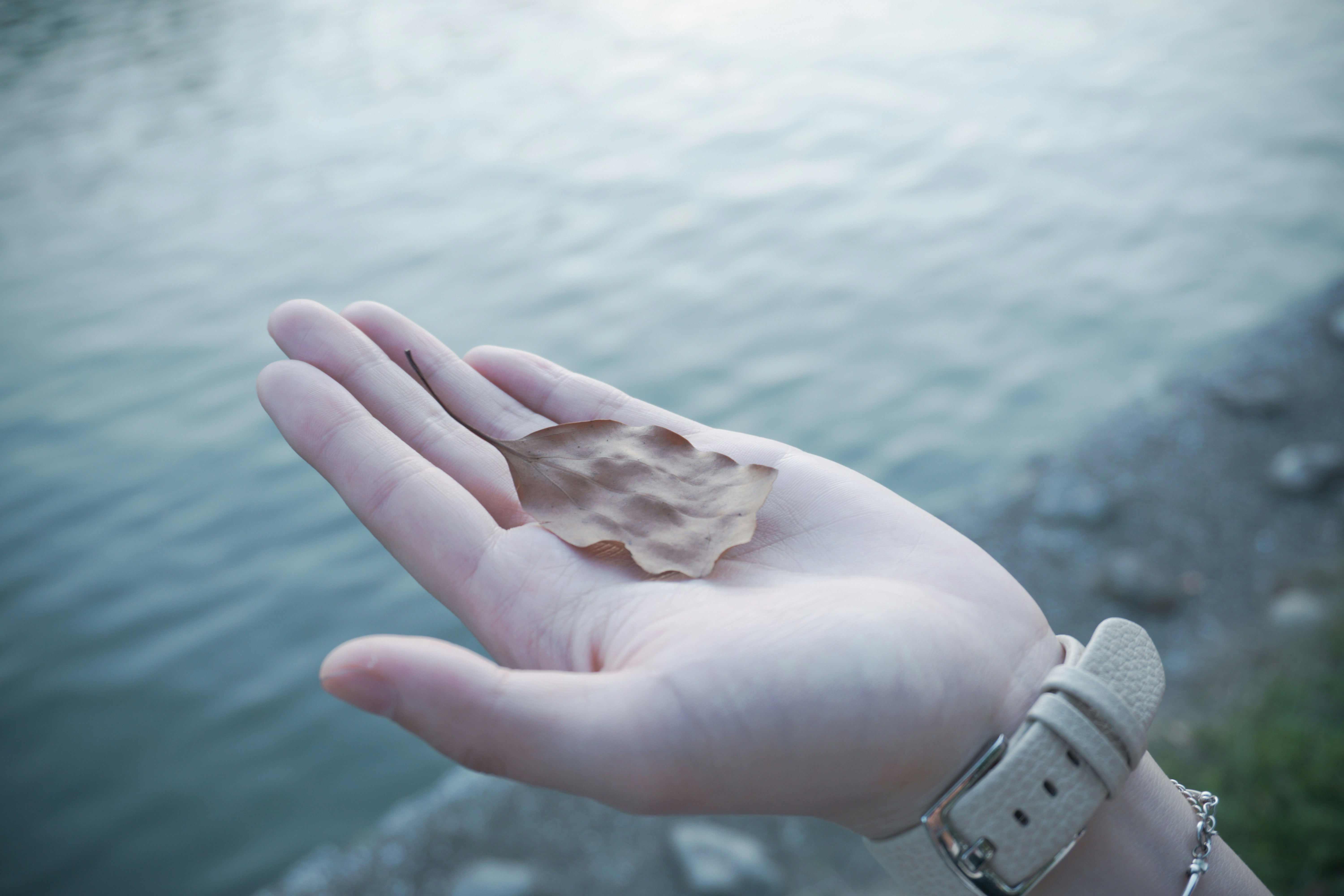 Photo by cosmonaut647