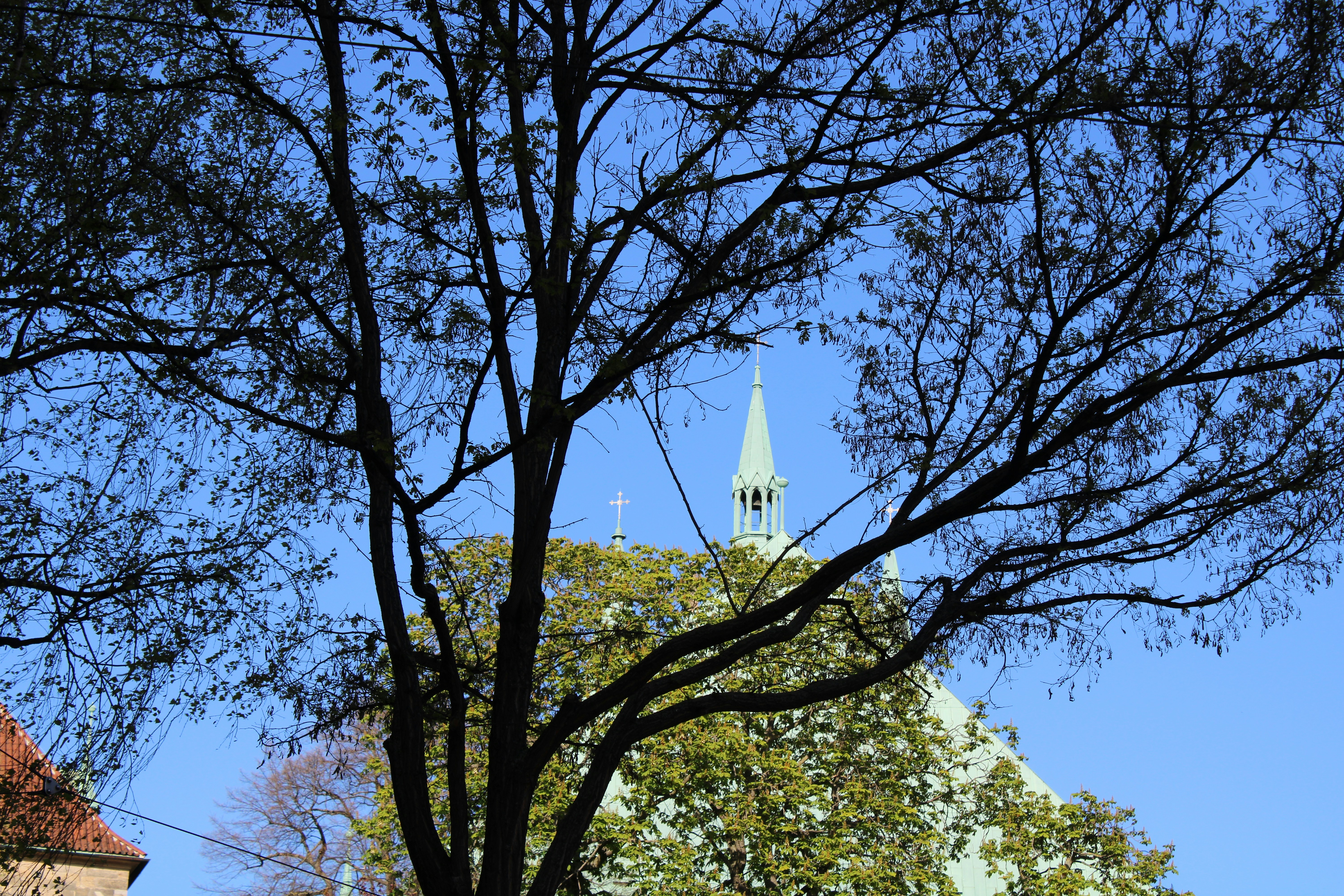 Photo by caropaulick