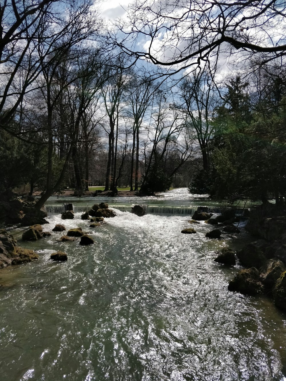 green trees near body of water during daytime