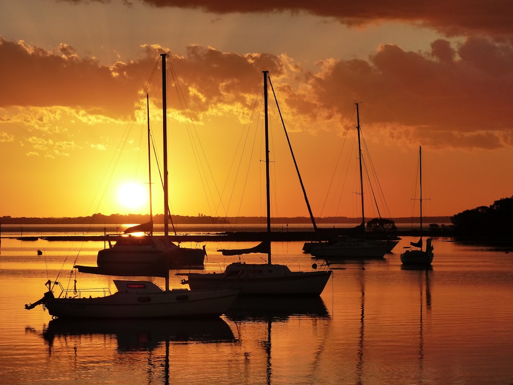 boats docked at the pier during sunset