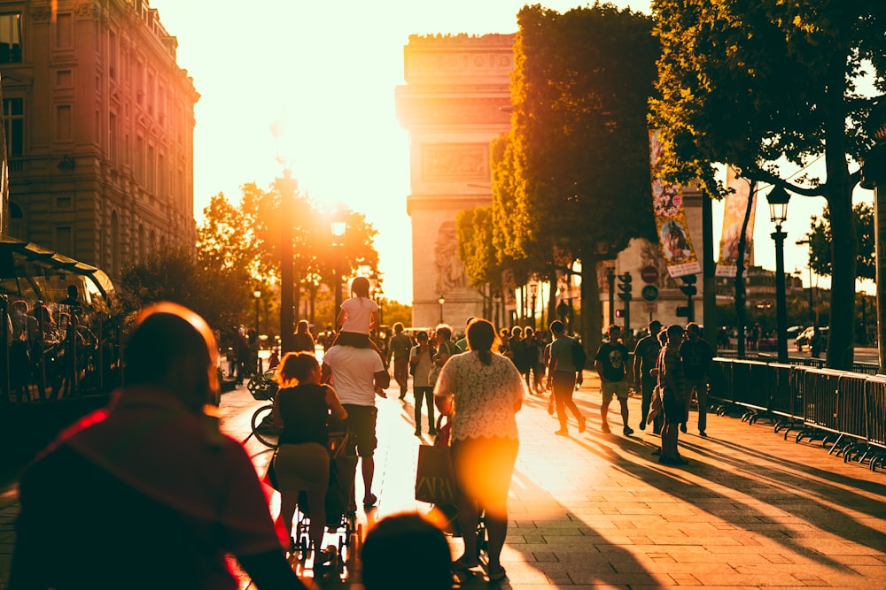 people walking towards tree during daytime