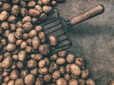 pile of potatoes with shovel potato zoom background