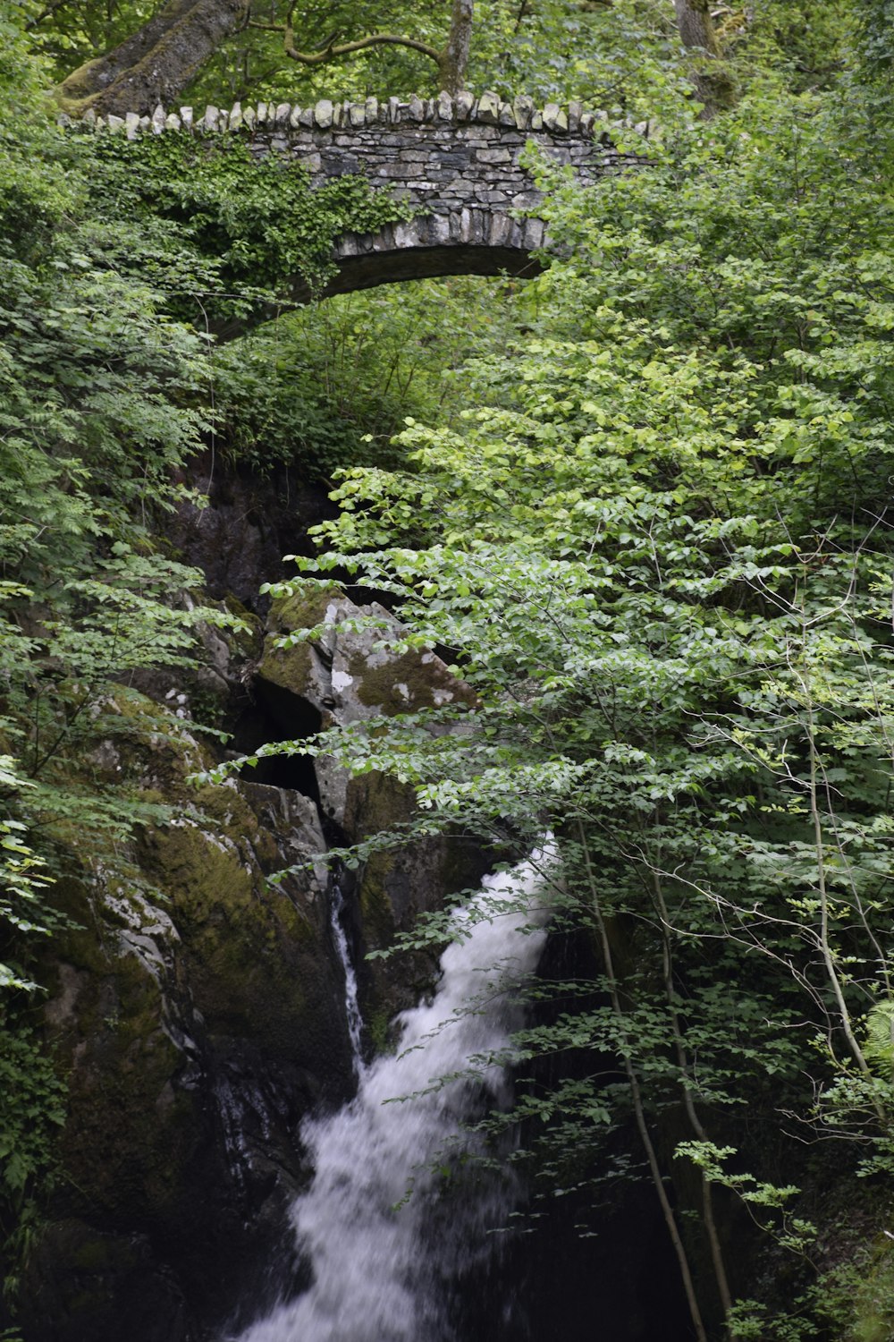 a small waterfall flowing under a stone bridge