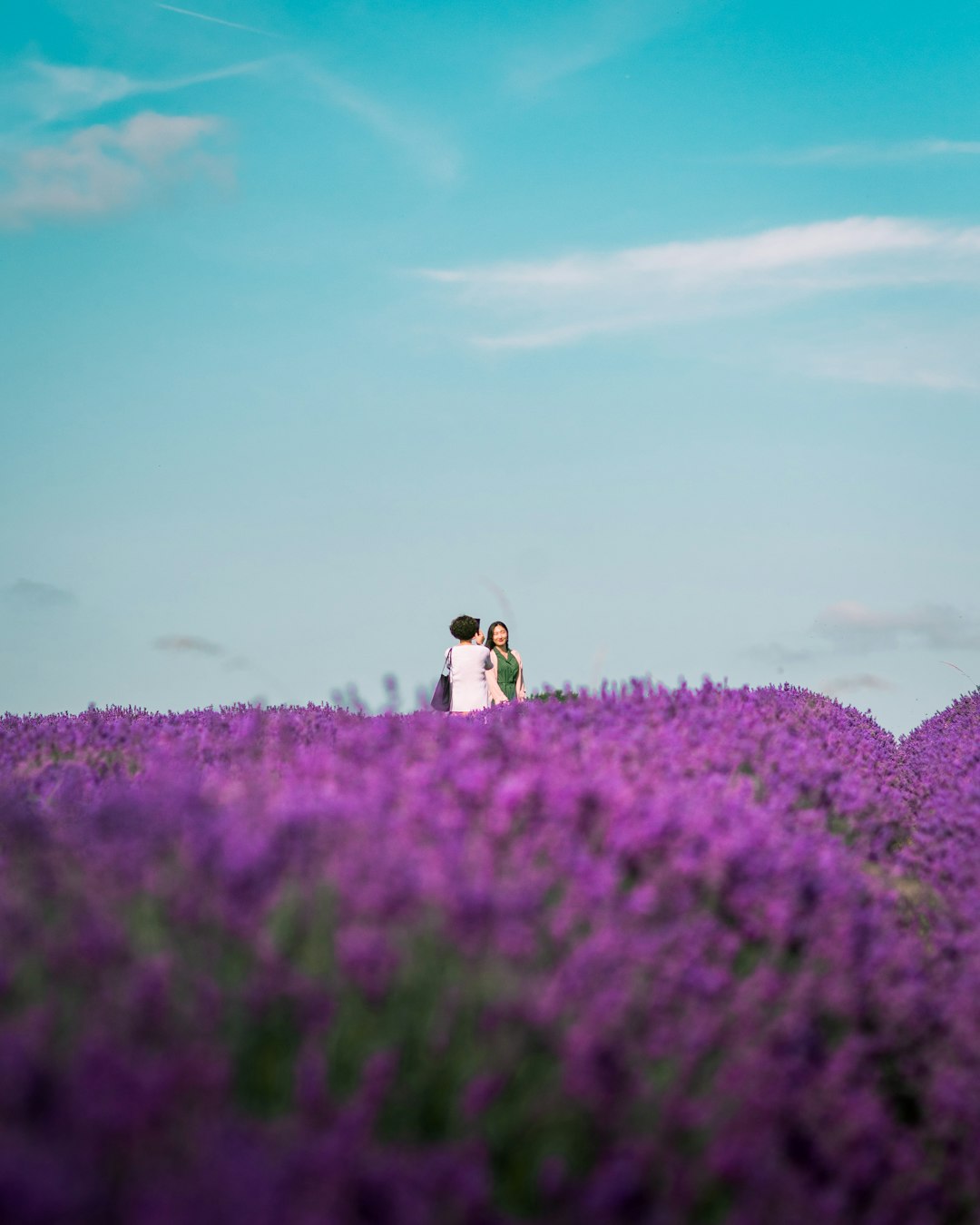 three people standing on purple flower field under blue and white skies