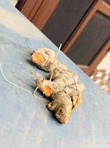 A farmer holding fresh turmeric roots with a soft sky blue overlay.