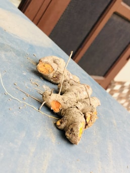 A piece of turmeric root lies on a dusty blue surface. The root appears fresh, with visible orange flesh and dry, dusty brown skin. Thin, dry root strands extend from the main body, and the background features a wooden texture partially visible.