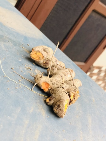 A piece of turmeric root lies on a dusty blue surface. The root appears fresh, with visible orange flesh and dry, dusty brown skin. Thin, dry root strands extend from the main body, and the background features a wooden texture partially visible.