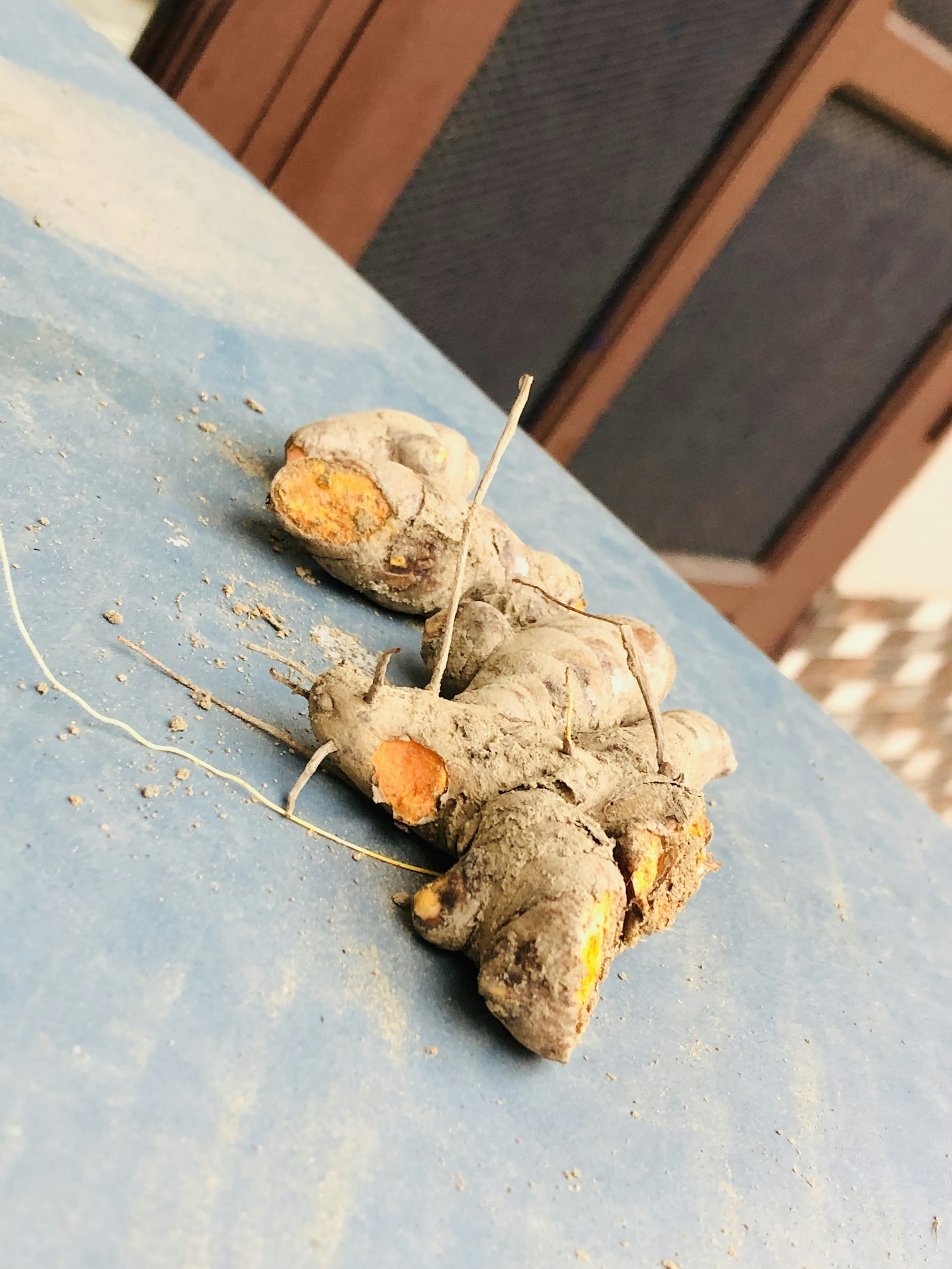 Workers carefully washing turmeric roots in a clean, modern processing facility, highlighting hygiene and quality.