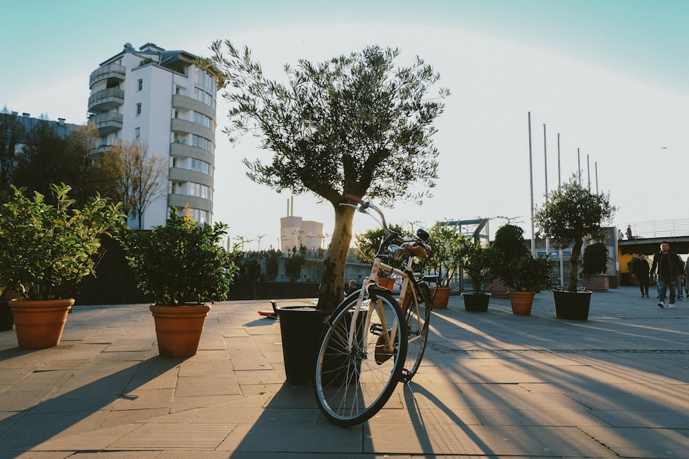 bici beige vicino a piante e alberi