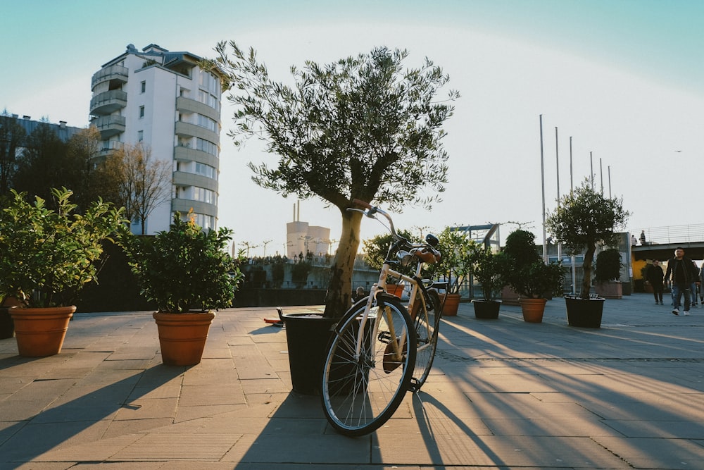 Beigefarbenes Fahrrad in der Nähe von Pflanzen und Bäumen