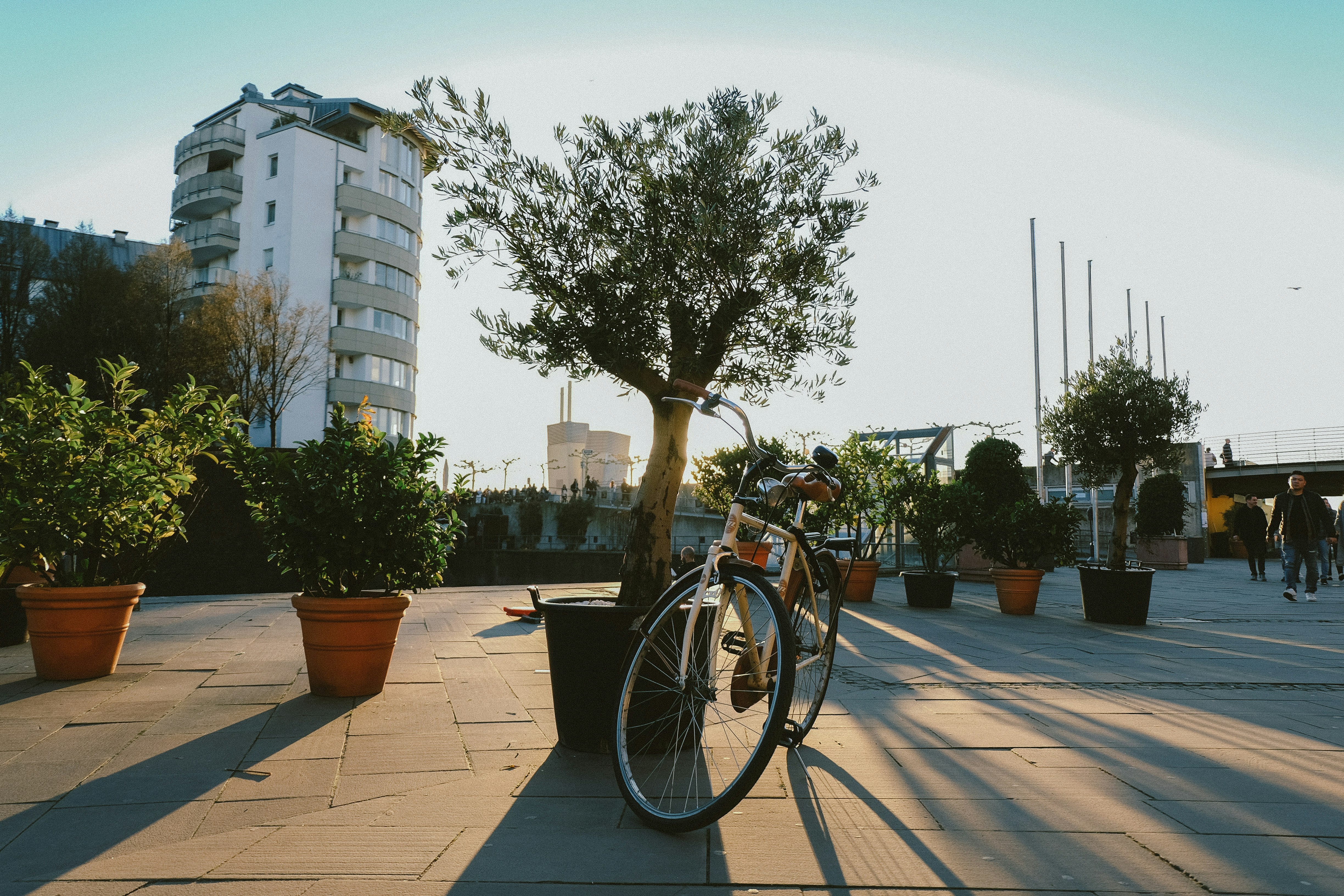 beige bike near plants and trees