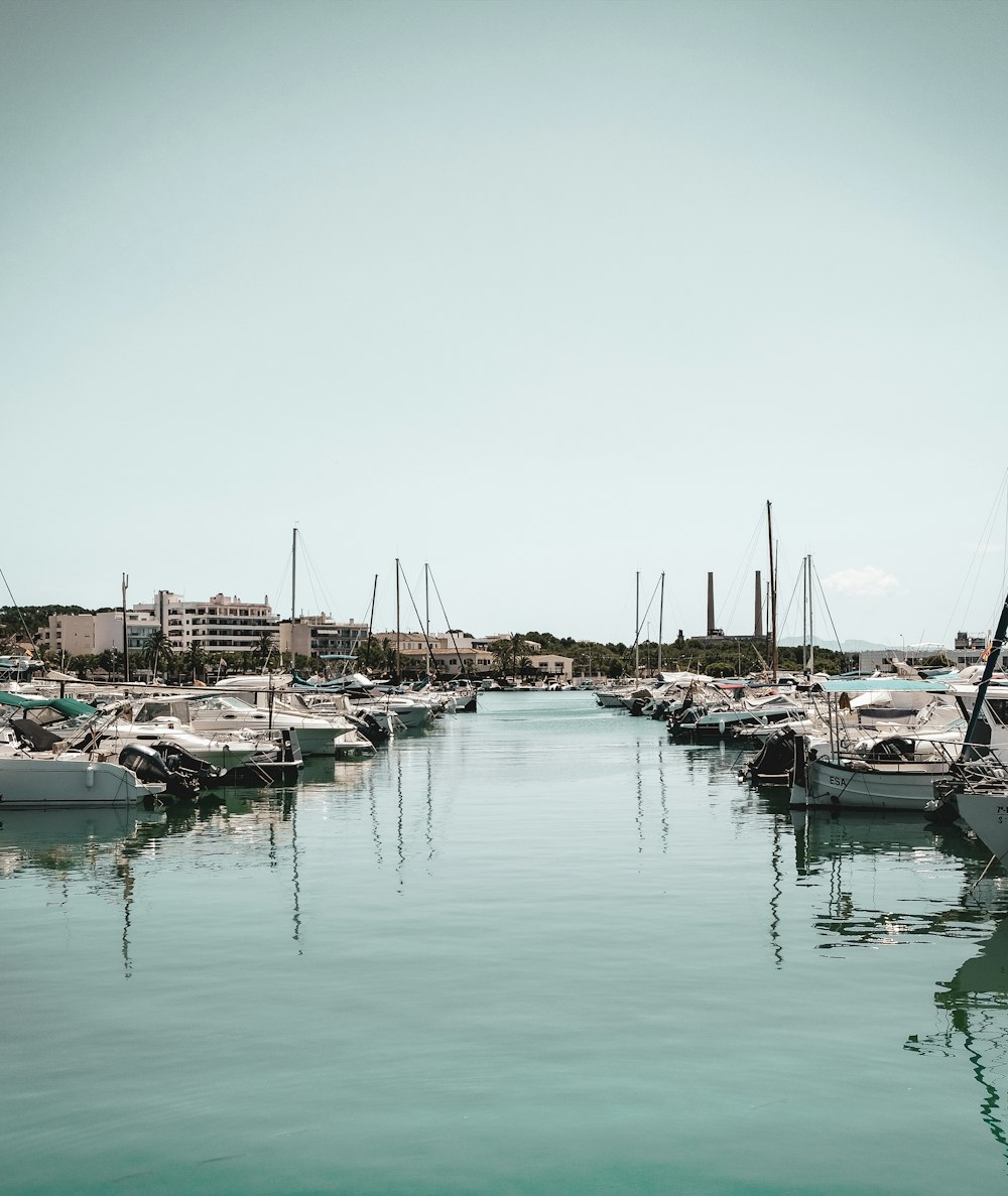 a harbor filled with lots of boats on top of water