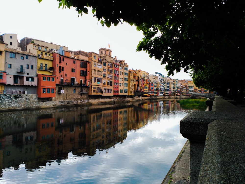 body of water near houses