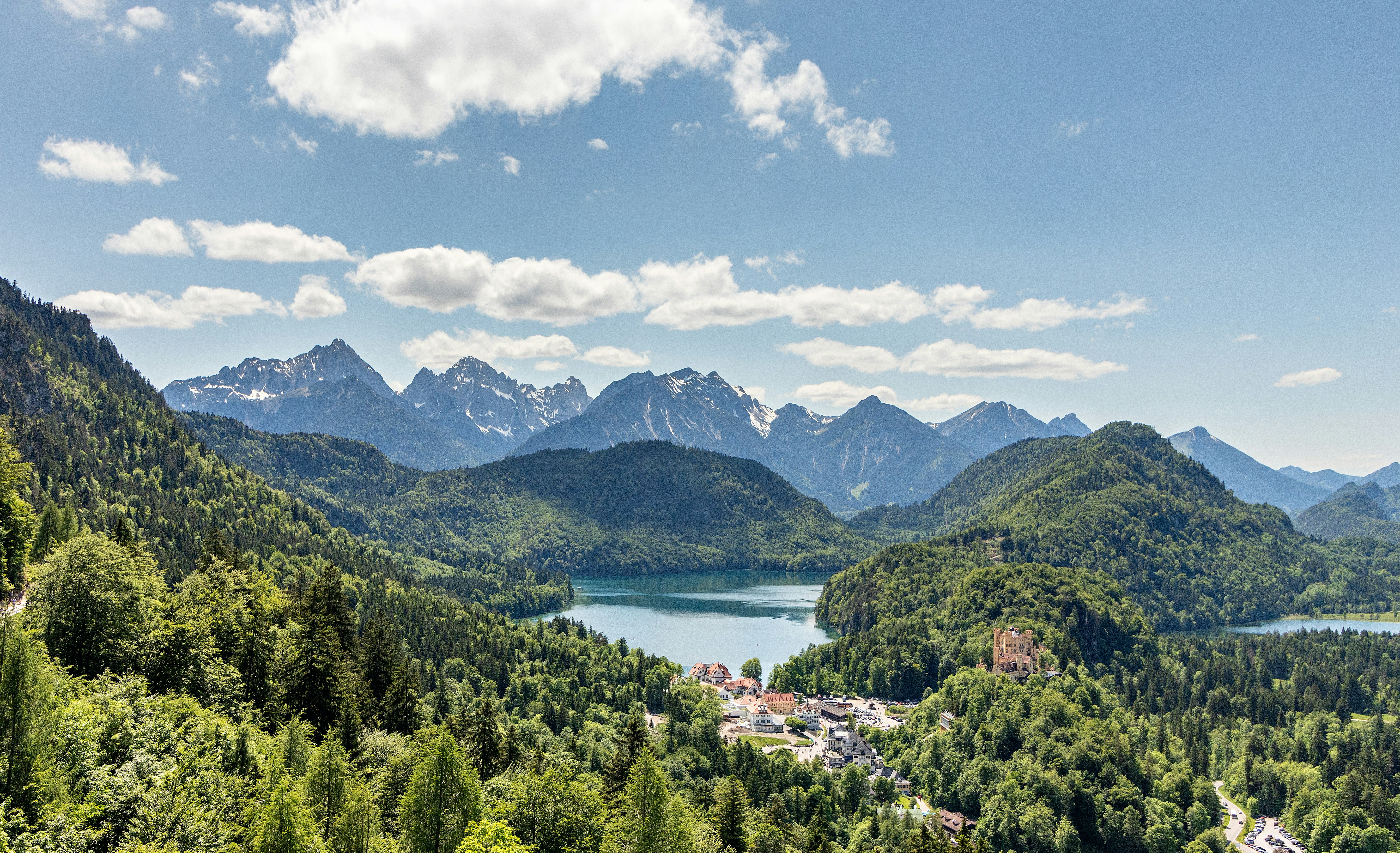 green trees, This is one of the views you can see when you are inside the Neuschwanstein Castle. 
