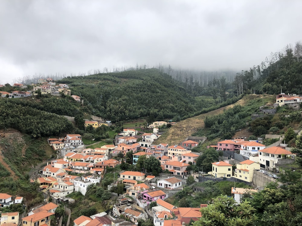 houses near trees and mountains