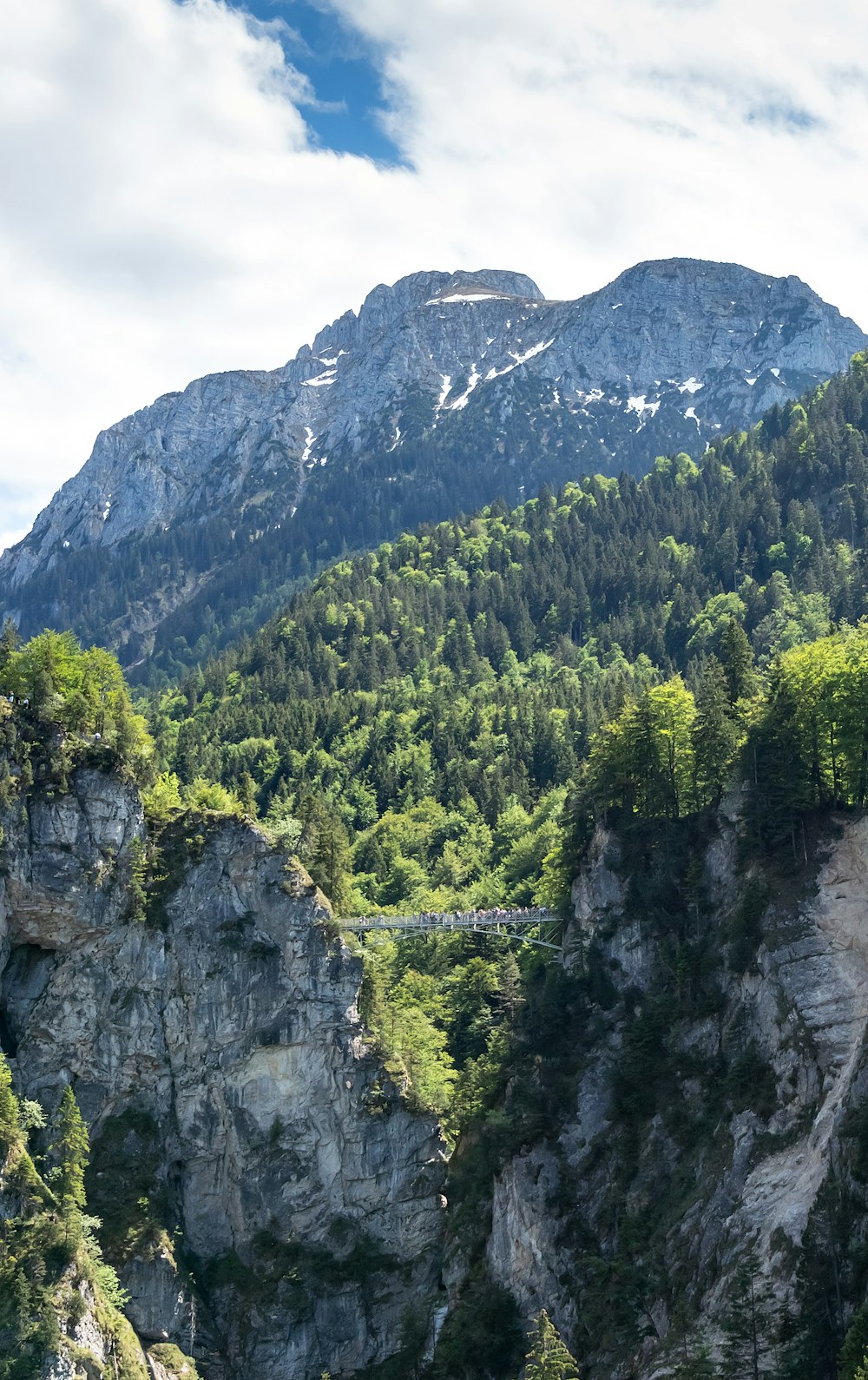 green grass and tree in a mountain under blue cloudy sky during daytime