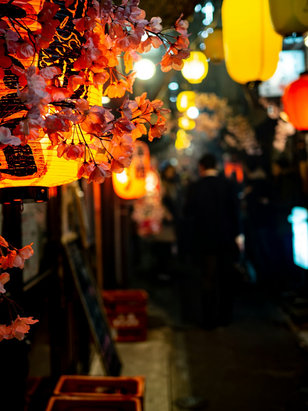 red-petaled flower near lighted lantern