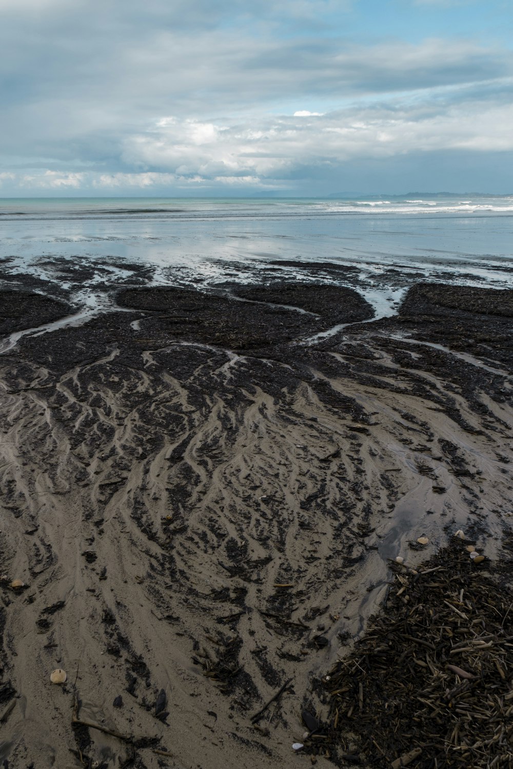 a sandy beach covered in lots of mud