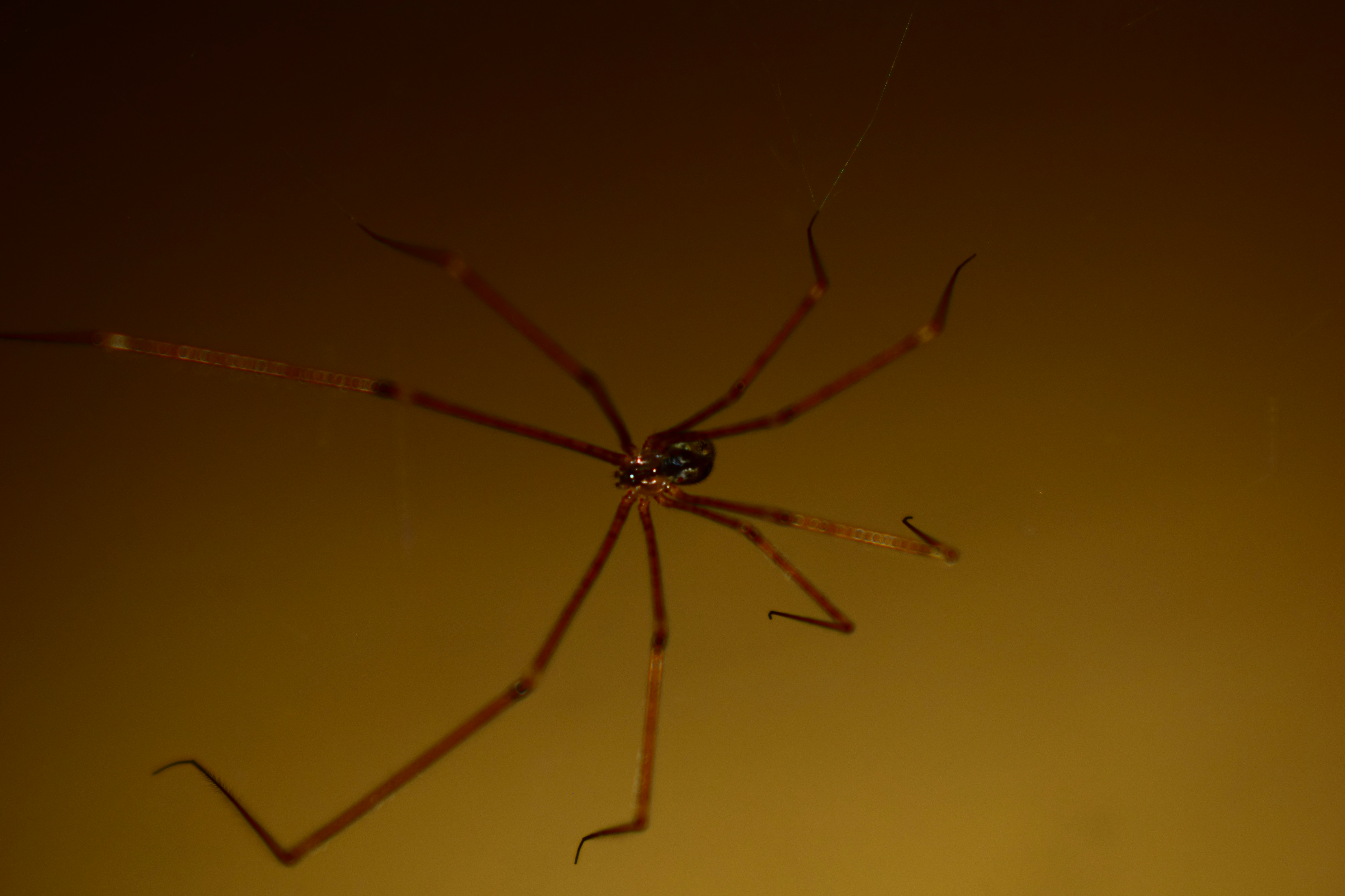 Photo by iu_unsplash