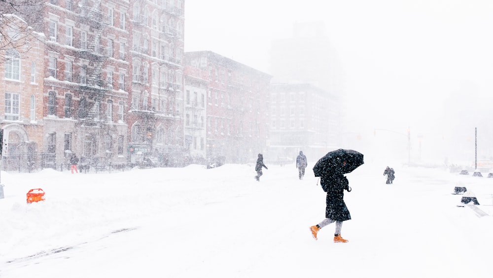 people on snow