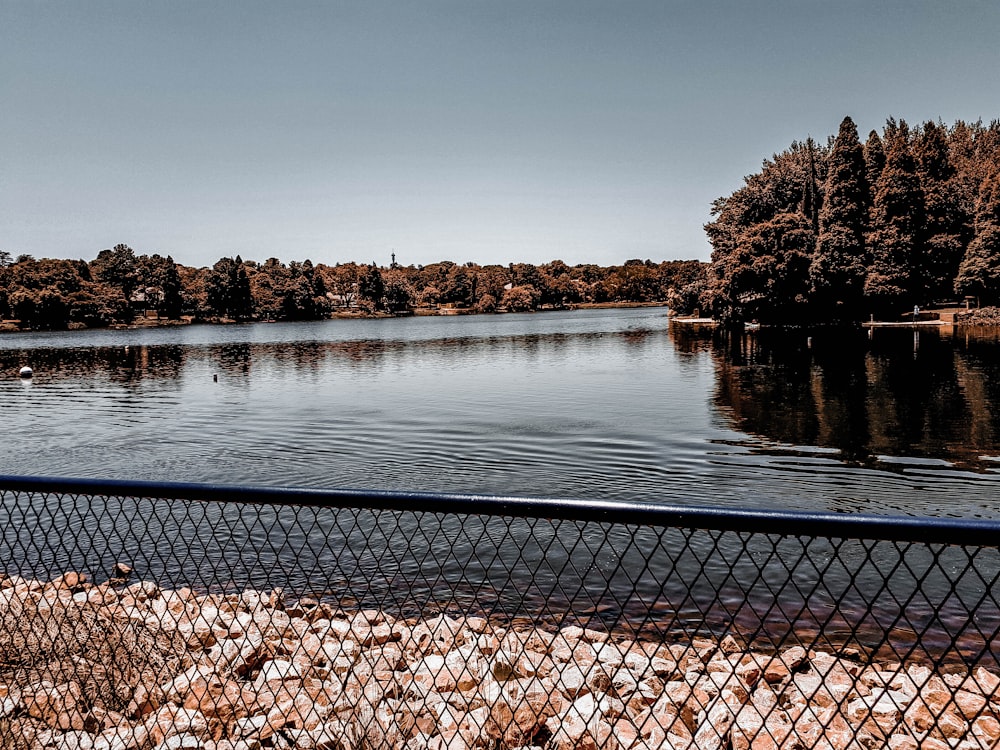 a large body of water surrounded by trees