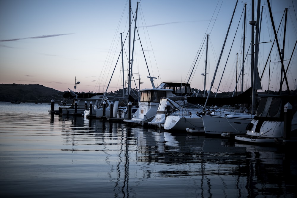 photo of parked powerboats