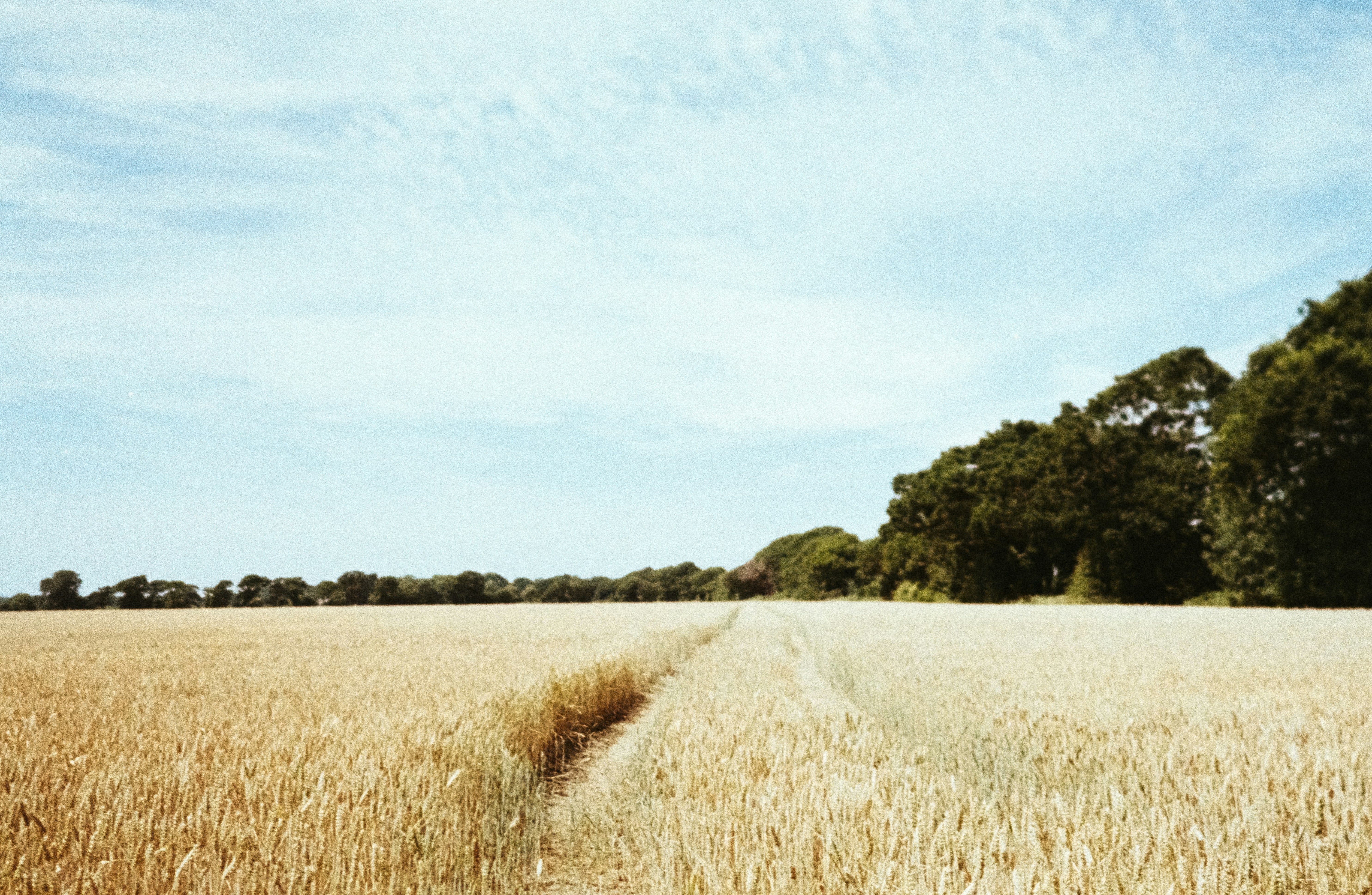 Photo by anniespratt