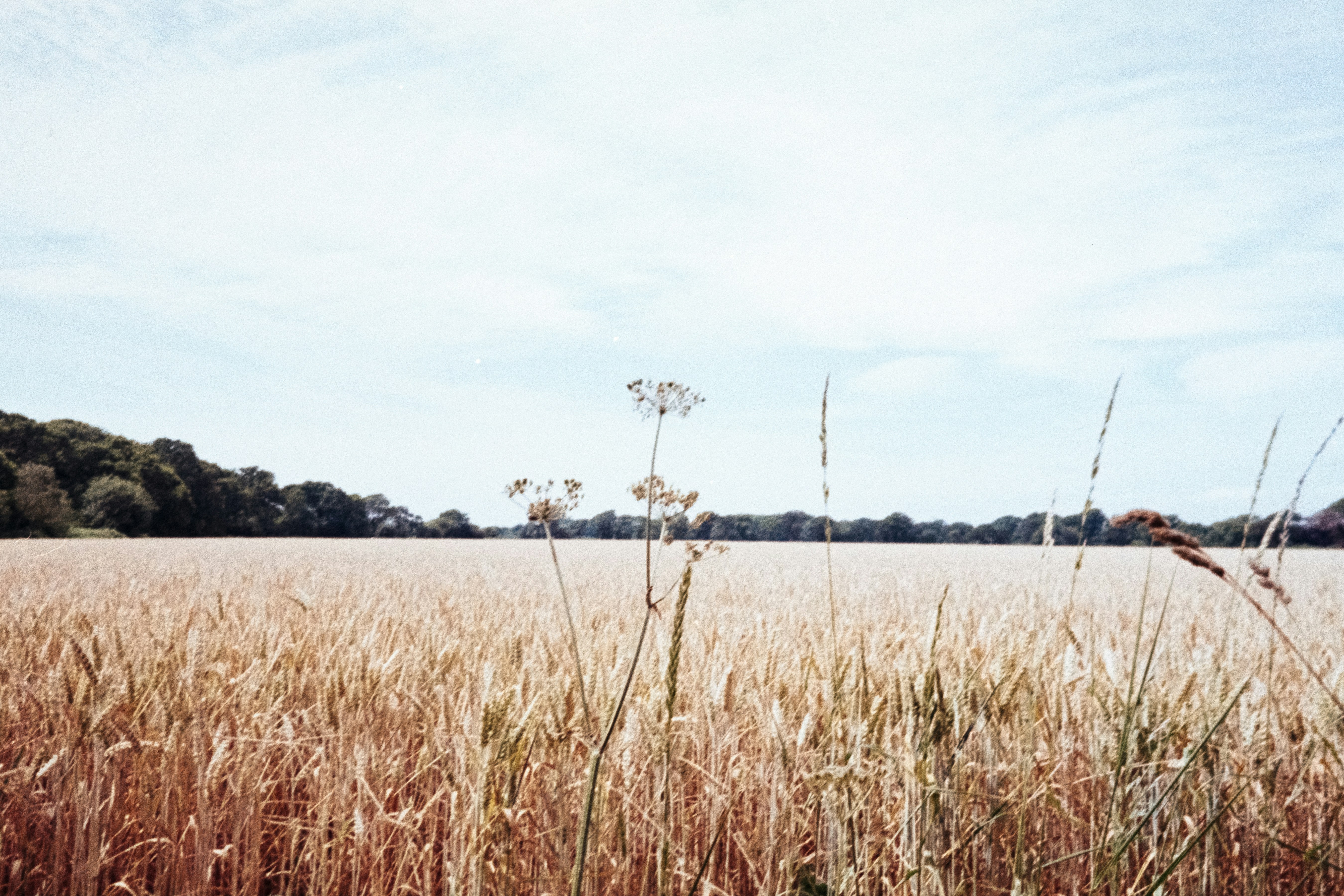 Photo by anniespratt